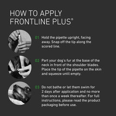 FRONTLINE Plus Flea & Tick Treatment for Large Dogs - 6 Pipettes (20 to 40kg)